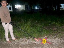 Viral Burung Hantu Ditembak Mati, Wanita di Belu NTT Ditangkap