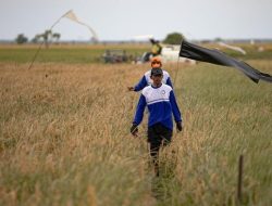 Airlangga soal Lahan Food Estate: Papua Lebih Baik dari Australia