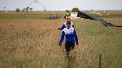 Airlangga soal Lahan Food Estate: Papua Lebih Baik dari Australia