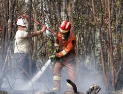 Tinjau Kebakaran Hutan, Ariastuty Imbau Masyarakat Waspadai Setiap Tindakan