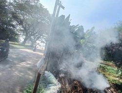 DLH DKI Imbau Masyarakat Tak Bakar Sampah, Ingatkan Bahaya Partikel PM 2,5