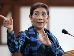Saran Susi Pudjiastuti: Tangkapan Ikan Sapu-sapu Dibikin Pelet hingga Pupuk