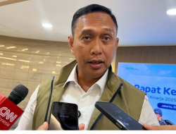 Bulog Guyur 240 Ribu Ton Jagung SPHP Demi Tekan Harga Pakan Ayam