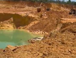 BP Batam Pulihkan Bekas Tambang Pasir Ilegal, Perusak Lingkungan Akan Diberi Sanksi Tegas