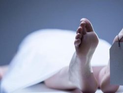 2 Pemuda di Bogor Digigit Ular Weling saat Nongkrong, 1 Orang Meninggal