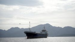 Kapal Kargo Korsel Dihantam 2 Pesawat Tak Dikenal di Selat Hormuz