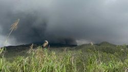 Ngerinya Erupsi Gunung Dukono Tewaskan 2 WNA dan 1 WNI