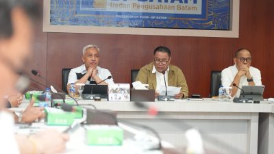 Deputi Bidang Investasi BP Batam Fary Francis (foto : hms)