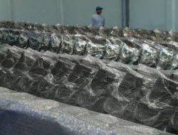 Kejagung Segel Gudang Motor Listrik Terkait Kasus MBG