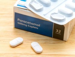 Kementan Respons Petani Pakai Paracetamol Buat Suburkan Tanaman