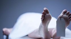 1 Warga Sigi Meninggal Akibat Gempa M 6,7 di Palu