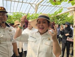 Titiek Soeharto Icip Anggur Rawatan Napi Nusakambangan: Enak, Manis