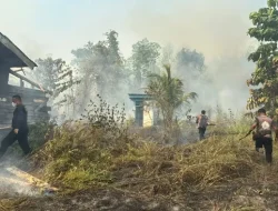 BMKG Deteksi 1.923 Titik Panas di Papua Tengah, Nabire 1.069 Hotspot