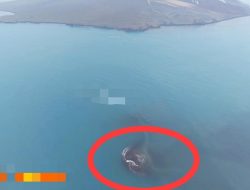 Daratan Baru 30,3 Hektare Muncul di Dekat Gunung Anak Krakatau