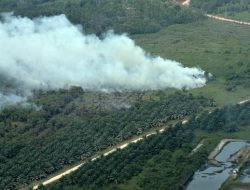 Titip Api Karhutla di Kalimantan dan Sumatera Disebut Turun Jadi 121